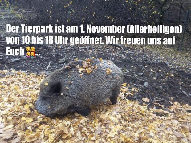 Ab November gelten neue Öffnungszeiten