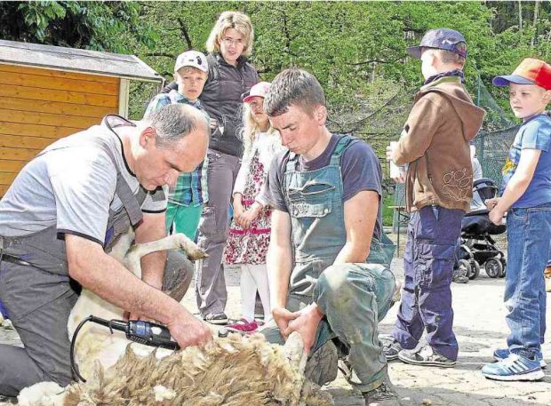 Pressestimmen zum Wollfest