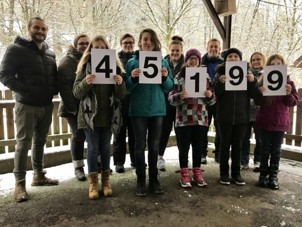 Bärenstarkes Jahr für Tierpark Niederfischbach: Süßer Nachwuchs und Besucherrekord