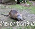 Wir öffnen noch nicht am 20. April