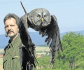 Der Tierpark bekommt jetzt eine Falknerei