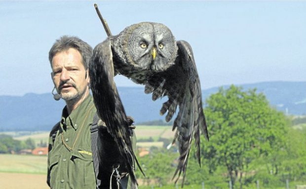 Der Tierpark bekommt jetzt eine Falknerei