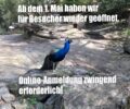 Der Tierpark hat, mit Einschränkungen, ab den 1. Mai wieder geöffnet