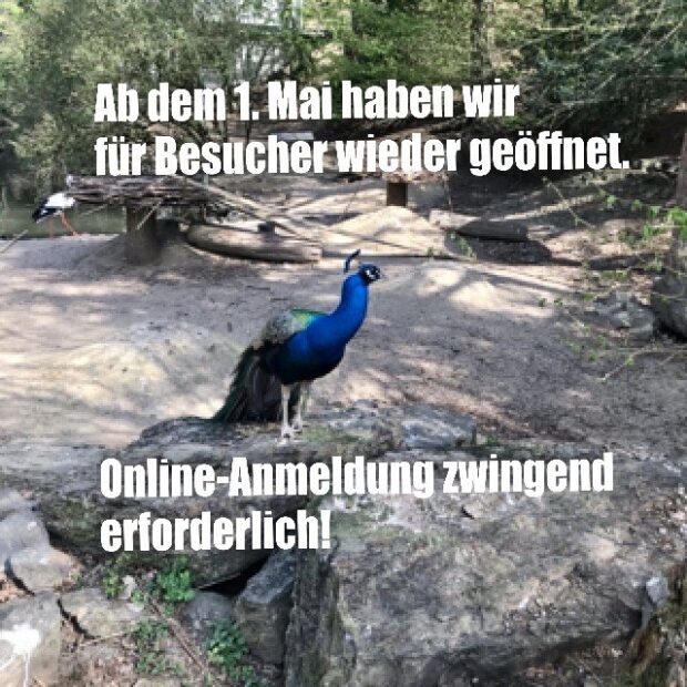 Der Tierpark hat, mit Einschränkungen, ab den 1. Mai wieder geöffnet