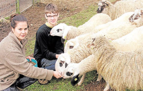 Praktikanten im Tierpark immer willkommen