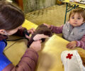 Premiere der Stofftierklinik im Tierpark Niederfischbach begeistert Familien