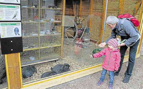 Tierpark Niederfischbach weiter im Aufwärtstrend