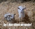 Wir öffnen wieder!